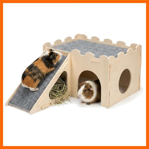 Wooden guinea pig - guinea, hideout