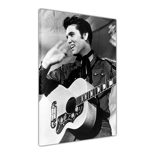Elvis presley guitar - elvis, canvas