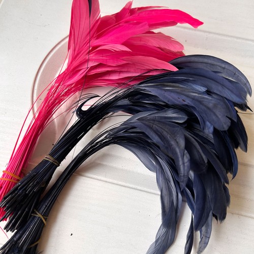 20cm 25cm coloured feathers - coloured,