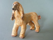 Basil Matthews Afghan Hound