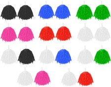 POM POMS PAIR COLOURED