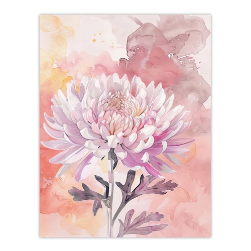Chrysanthemum flower - chrysanthemum,