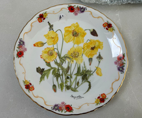 Bradex welsh poppy - bradex, in