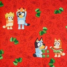 ~ Bluey Christmas Wrapping