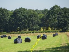 Photo 6x4 Silage bales near