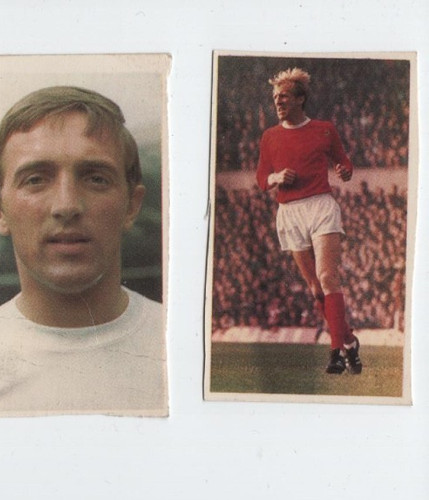 Hotspur world cup stars - world,