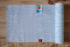 Vintage Japanese Tanmono Kimono Fabric Bolt 11.8 Sheer Stream Noren Curtains