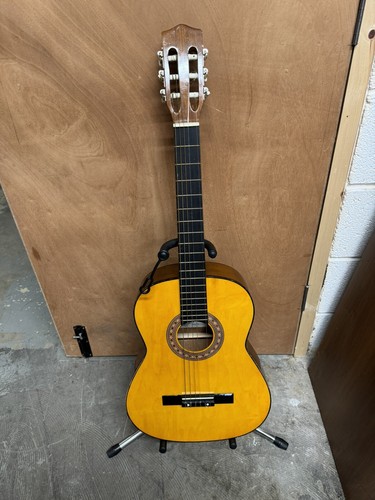 Lorenzo classical acoustic - ,