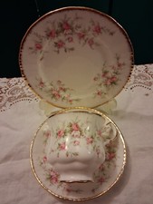 Paragon victoriana rose - paragon,