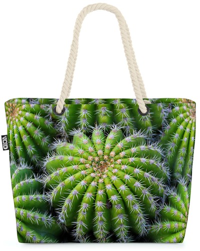 Cactus plant - cactus,