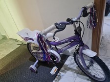 Pedal Pals 16 Inch Wheel Size Kids Mountain Bike