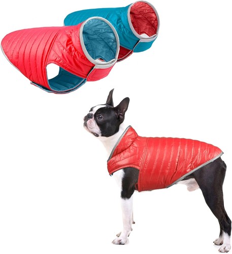 Dog coat cold - dog,
