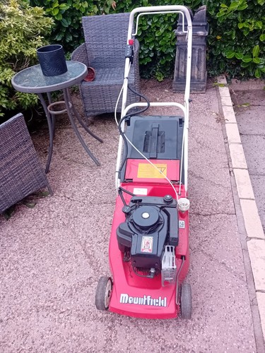 Mountfield empress - mountfield, 16"