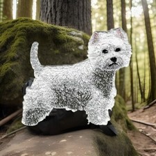 West Highland Terrier Dog