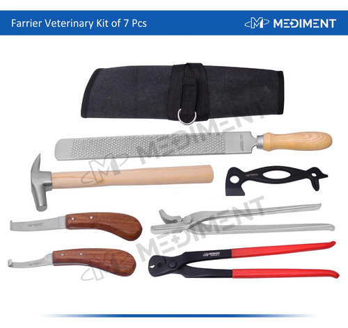 Horse farrier hoof care - horse,
