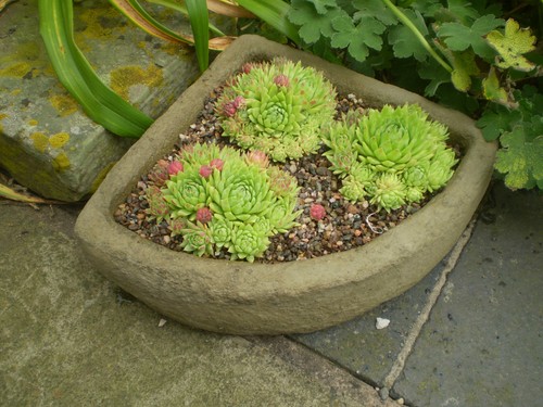 Stone garden small corner - stone,