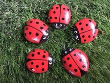 Hand Painted Ladybird Ladybug