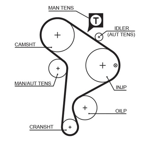 Timing belt cambelt 137 - 137, teeth