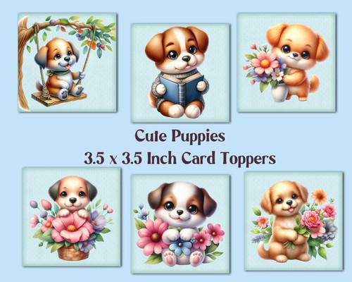 Cute puppies square - cute,