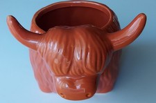 West highland cow - west, planter