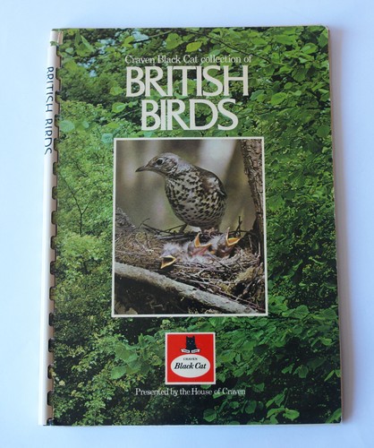 Craven black cat british birds - cat,