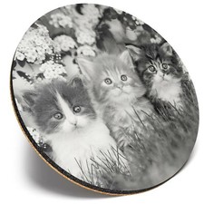 Round Single Coaster  - BW - Gorgeous Kittens Garden Cats Animals  #41343