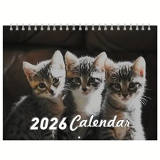 2026 Cute Tabby Kittens