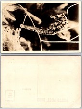 RPPC Seahorse Aquarium Photo