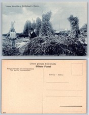St Michaels Açores Corn