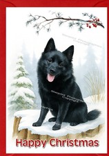 Schipperke Dog Christmas Card