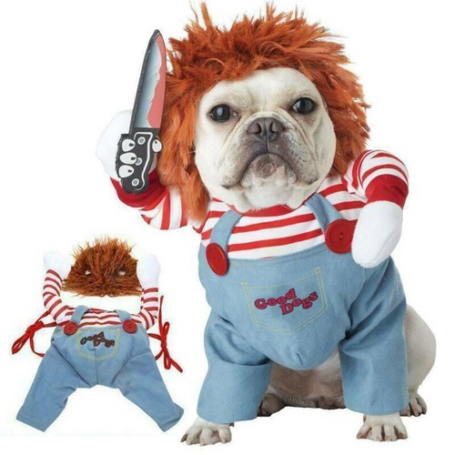 Halloween pet dogs - pet, chucky