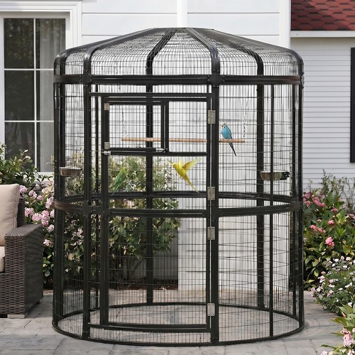 Large walk flight bird - walk-in,