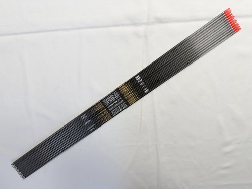 Easton x10 protour arrows - protour,