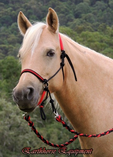 Bitless bridle adjustable - bridle,,