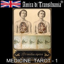 Old tarot cards deck anatomy body surgery medicine vintage rare apothecary V1