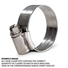 Samco Stainless Steel Clips