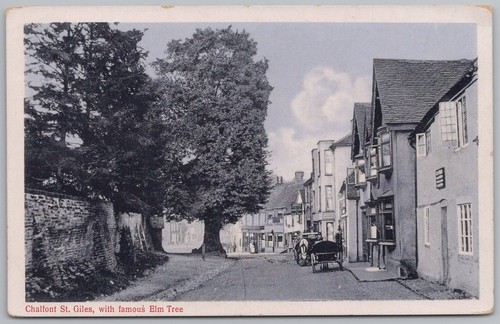 Chalfont giles famous elm - giles,