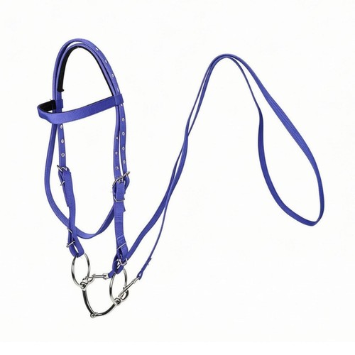 Equestrian split bridle with - equestrian,