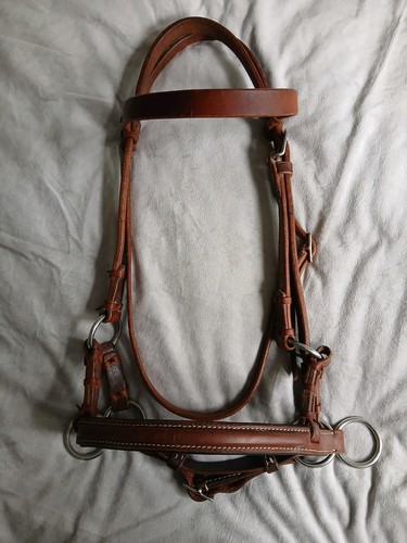 Bitless bridle