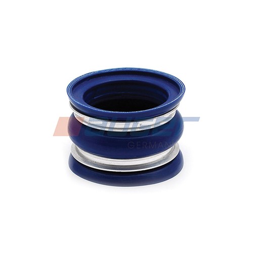 Air cooler hose - hose, rvi