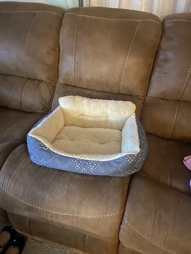 Dog bed for - small, beige