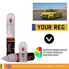 Touch Up Paint Pen For Audi TT Mixed By Car Registration Reg Numberplate
