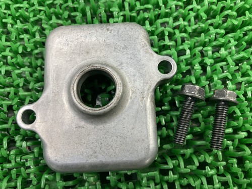 Gpz900r reed valve cap - valve, 926