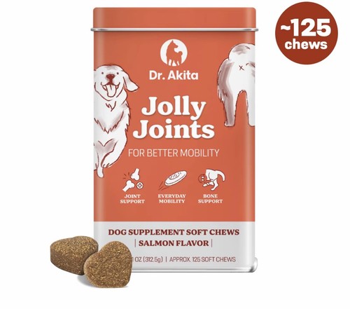Akita dogs jolly - akita, joints
