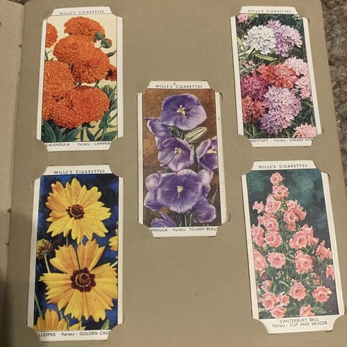 Wills cigaret cards - cigaret, :garden