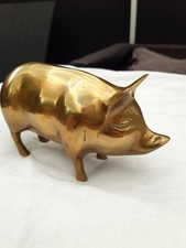 Brass Pig Collectable Piggy Bank