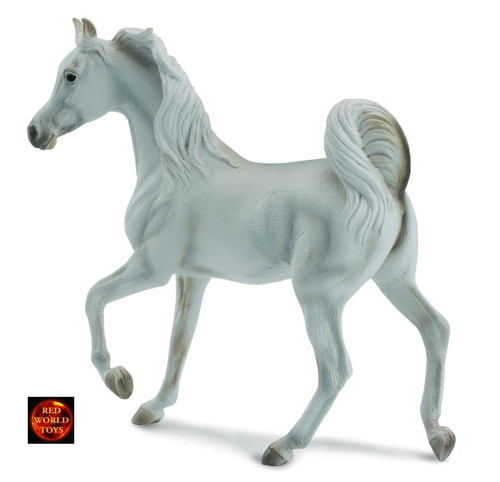 Arabian arab mare grey horse - mare,