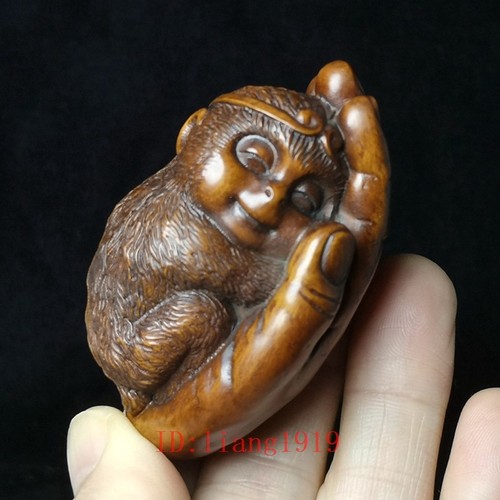 Inch chinese boxwood - 2.6, hand