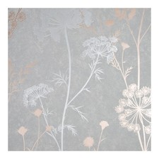 Superfresco Cow Parsley