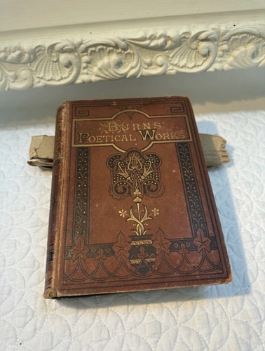 Burns poetical works - burns,
